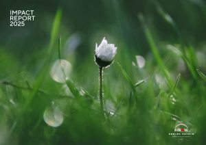 KIBOWインパクトポート2025_