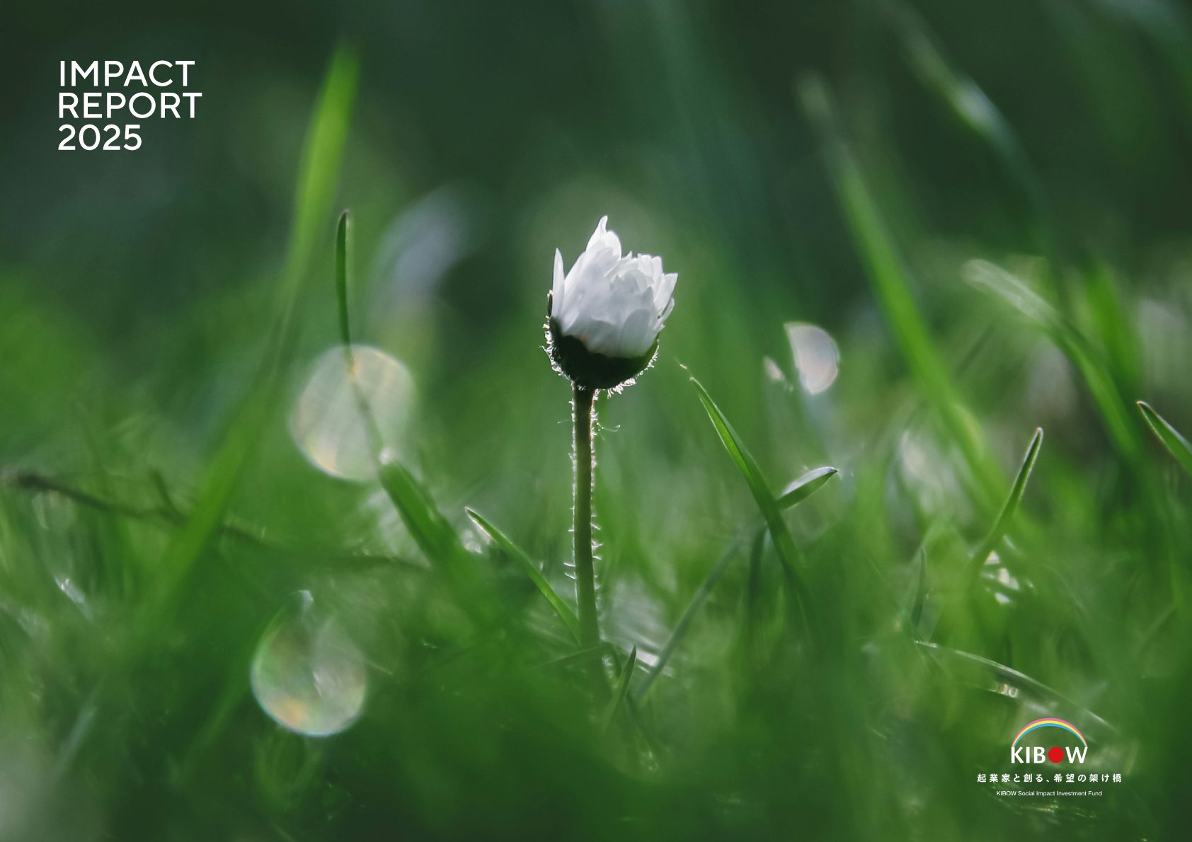 KIBOWインパクトポート2025_